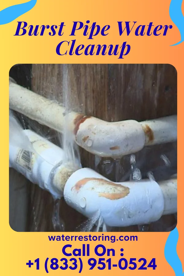 Burst Pipe Water Cleanup in Bensville, MD