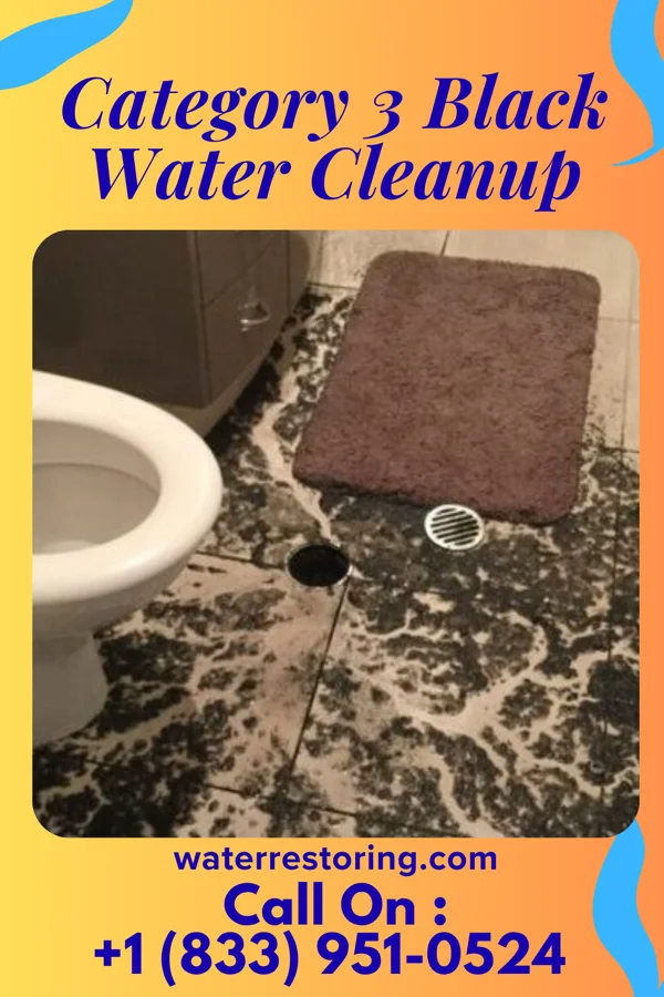 Category 3 Black Water Cleanup in Bensville, MD