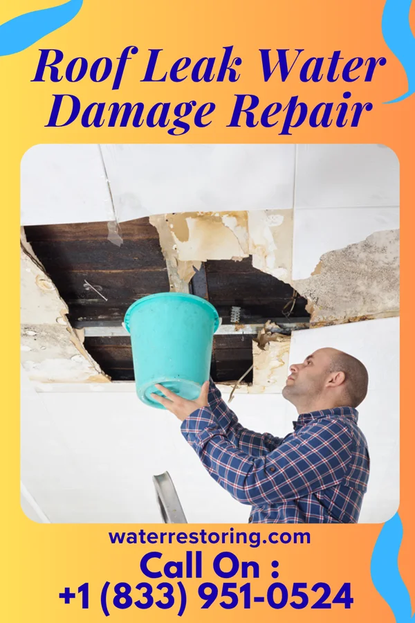 Roof Leak Water Damage Repair in Bensville, MD