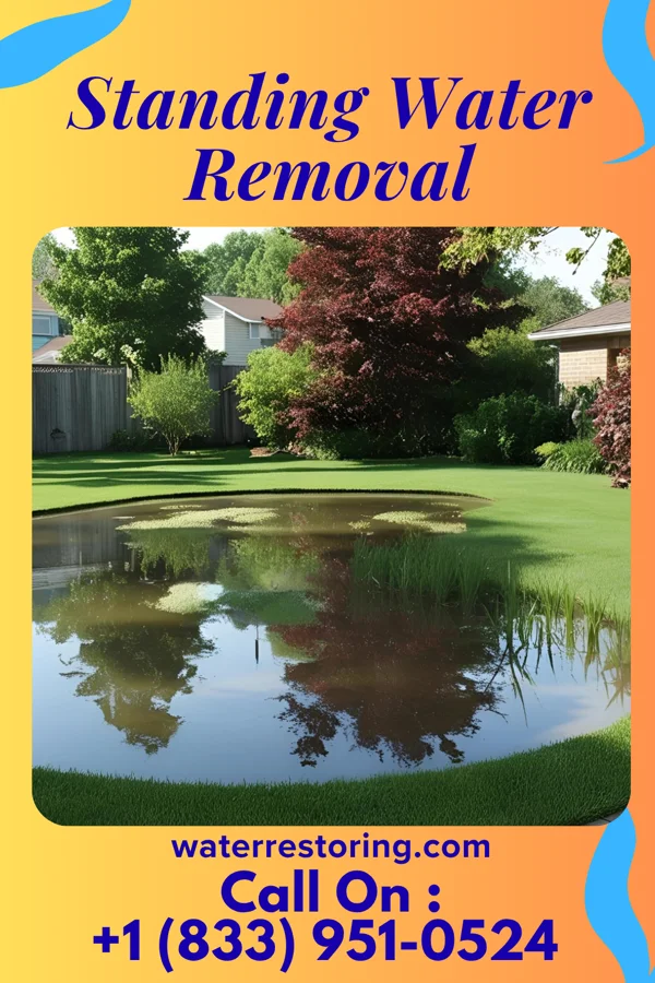 Standing Water Removal in Bensville, MD
